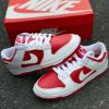 圖片 NIKE DUNK LOW University Red 白紅 反轉白紅 休閒鞋 DD1391-600