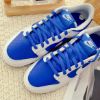 圖片 NIKE DUNK LOW RACER BLUE 反轉白藍 休閒鞋 DD1391-401