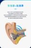 圖片  新竹立聲 | BGVP DMA 骨傳導入耳式耳機 台灣悅貿公司貨 加贈 Spinfit W1 音質神器 