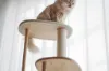 圖片 日本 KARIMOKU Cat Tree 貓跳台爬架｜實木｜米色＆胡桃原木色