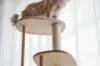 圖片 日本 KARIMOKU Cat Tree 貓跳台爬架｜實木｜藍色＆橡木摩卡棕