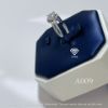 圖片 A009