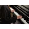 圖片 CASIO AP-750 高階電鋼琴/滑蓋式/木質琴鍵/三大名琴音色
