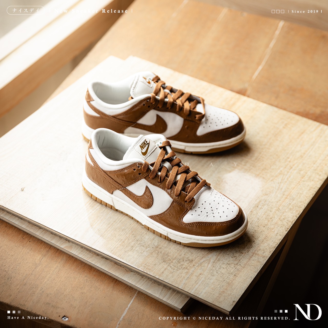 NICEDAY 現貨 Nike Dunk Low LX Dunk Ale Brown 棕色 咖啡色 女款 FJ2260-001-zingala商店