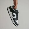 Nike Dunk Low Black DD1391100