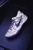 iSNEAKERS 預購 Nike Kobe 8 Protro "Court Purple" 白紫 男FQ3549-100 大童FN0266-101 中童FN0267-101