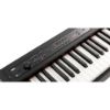 圖片 KORG D1 電鋼琴/可攜帶/同級最重琴鍵/無喇叭