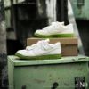 Nike Air Dunk Low Jumbo 白綠 男女尺寸 FJ4192-001