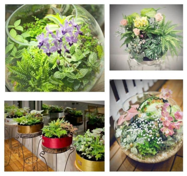 圖片 (一階) 精品園藝禮品設計師