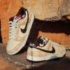 圖片 NIKE DUNK LOW Giraffe Animal 長頸鹿 獵豹 米白棕 男鞋 DH7913-200