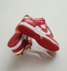 圖片 NIKE DUNK LOW GYM RED 大學紅 南加州大學 休閒鞋 DD1391-602