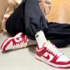 圖片 NIKE DUNK LOW GYM RED 大學紅 南加州大學 休閒鞋 DD1391-602