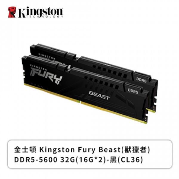 圖片 金士頓 32GB(雙通16GB*2) DDR5-5600/CL36 FURY Beast黑