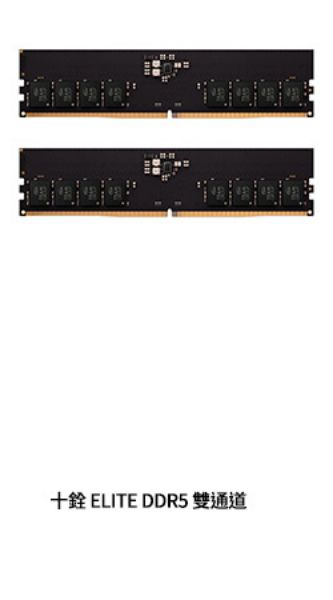 圖片 十銓ELITE 32GB(雙通道16GB*2) DDR5 5600/CL46