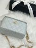 Chanel 山茶花調節鍊 小盒子包 珍珠灰