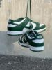 圖片 DUNK LOW " VARSITY GREEN“ 經典白綠  DD1391-101