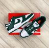 圖片 Nike Dunk Low Team Green 白綠色 綠色 墨綠色 皮革 成人款 DD1391-101/預購