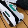 圖片 Nike Air Max 1 黑綠 氣墊 復古慢跑鞋 FN6952-100