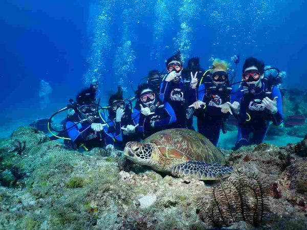 圖片 小琉球熊潛水 小琉球潛水證照PADI開放水域潛水員課程Open Water Diver