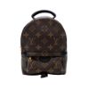 圖片 Louis Vuitton Palm Springs Mini 帆布字花後背包(M44873-咖)