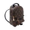 圖片 Louis Vuitton Palm Springs Mini 帆布字花後背包(M44873-咖)