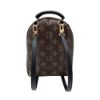 圖片 Louis Vuitton Palm Springs Mini 帆布字花後背包(M44873-咖)