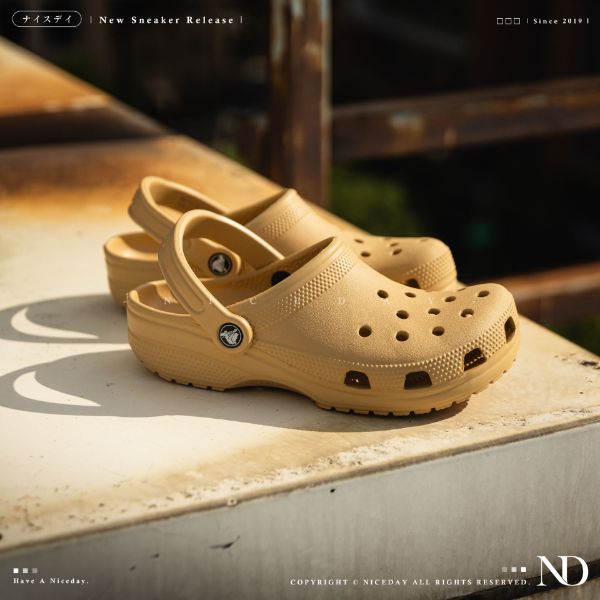 NICEDAY 現貨 Crocs 卡駱馳 洞洞鞋 經典款 基本款 橘黃色 夕陽色 男女尺寸