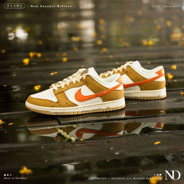 NICEDAY 現貨 Nike Dunk Low Retro 夕陽 橘黃 橘色 黃色 HM3729-181