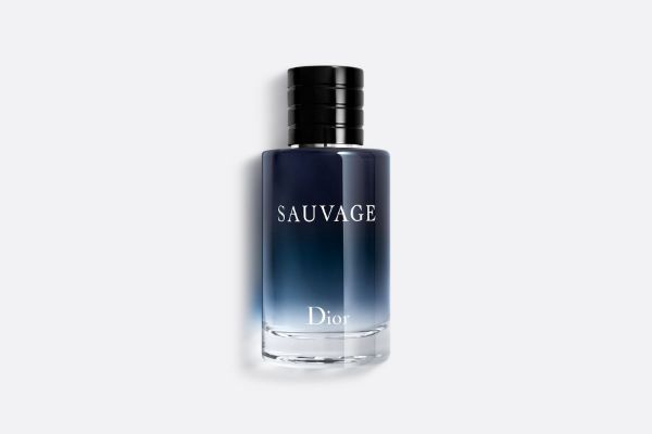 圖片 DIOR 曠野之心男性淡香水100ML