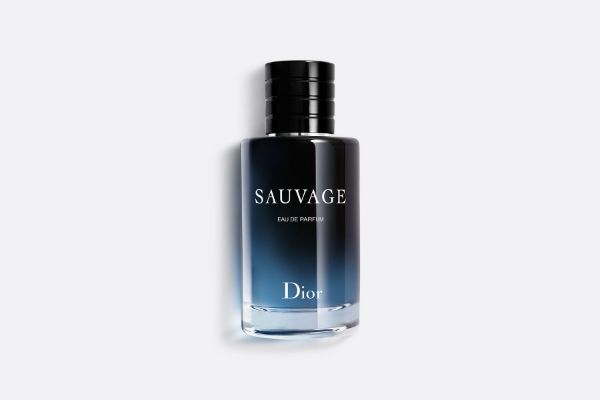 圖片 DIOR 曠野之心男性淡香精100ML