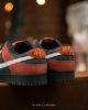 圖片 鞋教 預購 Nike Dunk Low "Red Panda" 絨毛麂皮小浣熊 FV0395-200