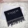 圖片 Coach 羊毛圍巾