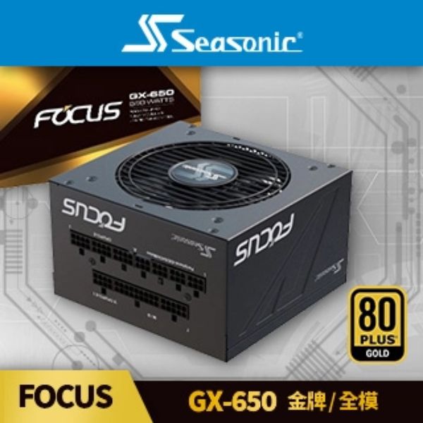 圖片 海韻 FOCUS GX-650(650W) 雙8/金牌/全模組/10年保