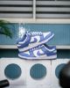 圖片 鞋教 預購 Nike Dunk Low "Polar Blue" 藍白 北極藍 DV0833-400