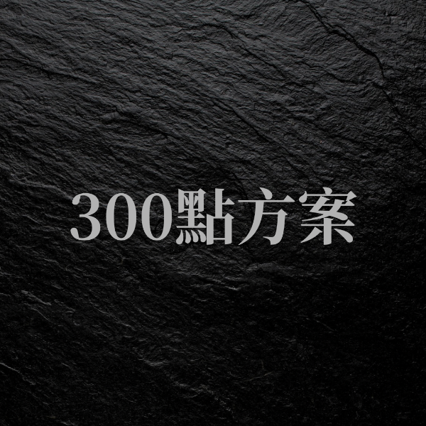 圖片 🎲300點方案