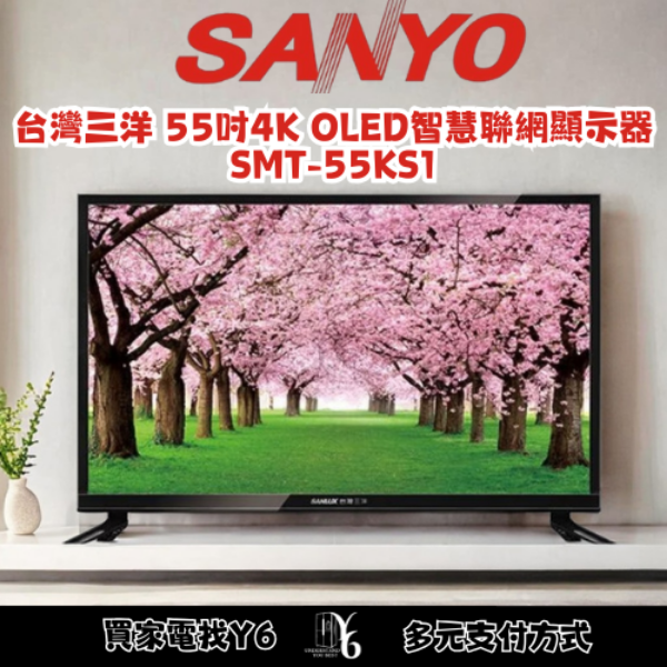 SANLUX 台灣三洋 55吋4K OLED智慧聯網顯示器 SMT-55KS1