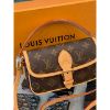 圖片 Louis Vuitton LV Nano Diane 經典老花配色 小 法棍包 缺貨 爆款 新款