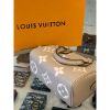 圖片 Louis Vuitton LV Nano Speedy 斑鳩灰 奶茶色 小波士頓