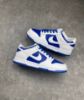 圖片 鞋教 Nike Dunk Low "Racer Blue" 賽車藍 反轉 白藍 DD1391-401