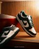 圖片 鞋教 Nike Dunk Low Retro "Varsity Green" 密西根白綠 大學綠 DD1391-101