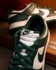 圖片 鞋教 Nike Dunk Low Retro "Varsity Green" 密西根白綠 大學綠 DD1391-101