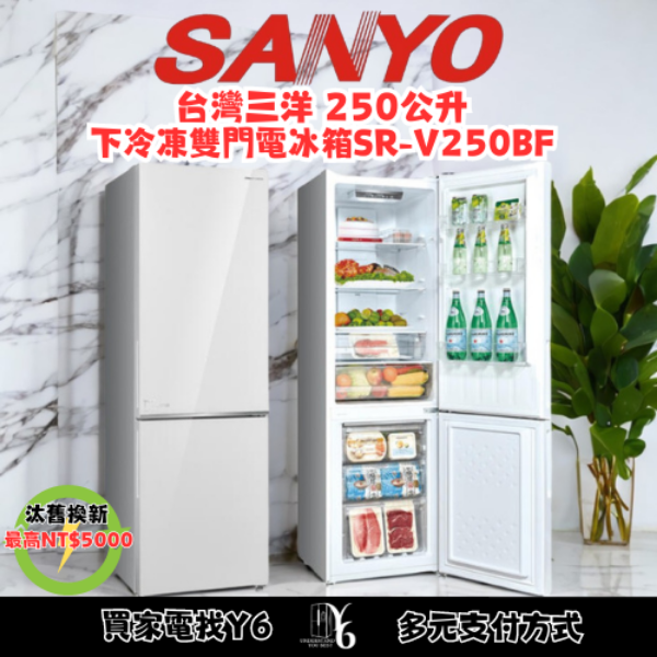 SANLUX 台灣三洋 250公升下冷凍雙門電冰箱 SR-V250BF