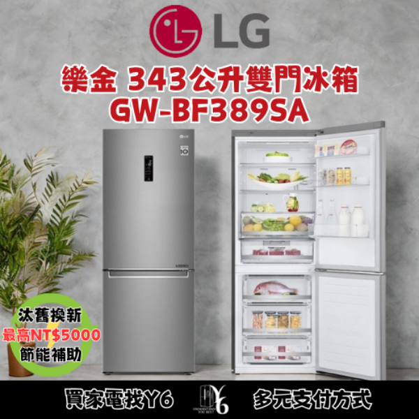 LG 樂金 343公升雙門冰箱 GW-BF389SA