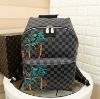 圖片 LV N50003 Apollo Backpack 叢林後背包