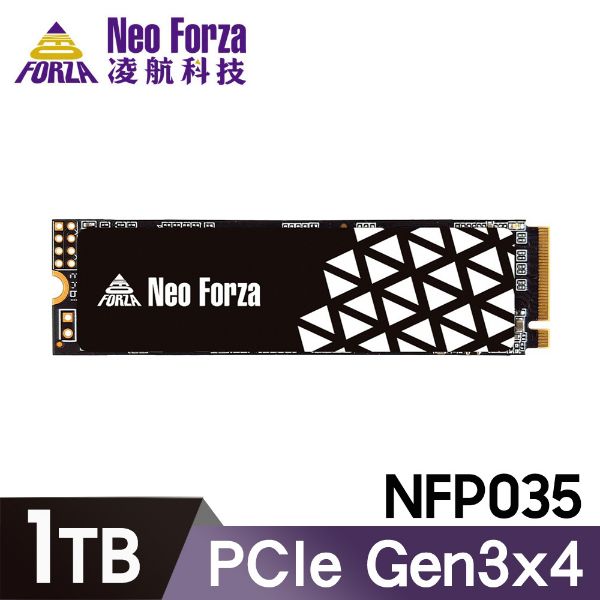 圖片 Neo Forza 凌航 NFP035 1000GB Gen3 PCIe SSD 固態硬碟