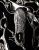 Empty Behavior x Asics GEL-Nimbus 10.1 "Liquid Silver" 1203A543-500EB