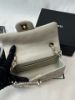 圖片 Chanel 24s cf20 淺灰 金扣mini