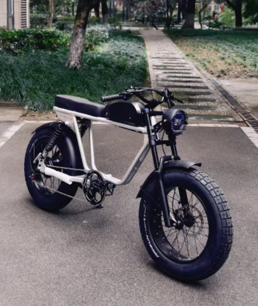 圖片 OWL 紳士車款 Woody 1000