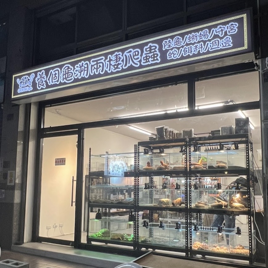 養個龜溯-兩棲爬蟲