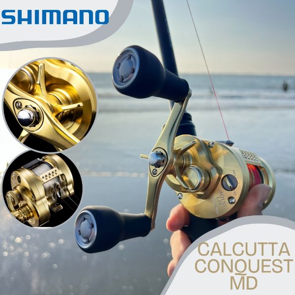 圖片 SHIMANO 23 CALCUTTA CONQUEST MD 金康 鼓式捲